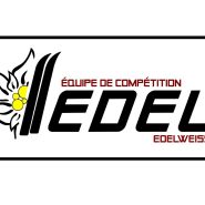 Edelweiss Logo 240114